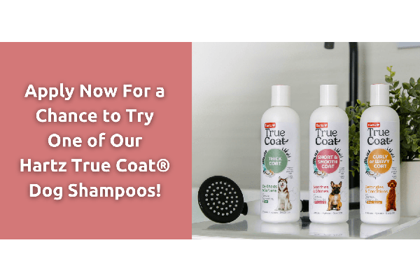 Free Hartz True Coat® Dog Shampoo