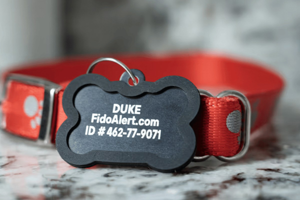 Free Pet ID Tag