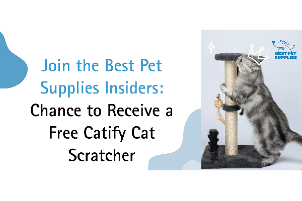 Free Catify Scratch Post