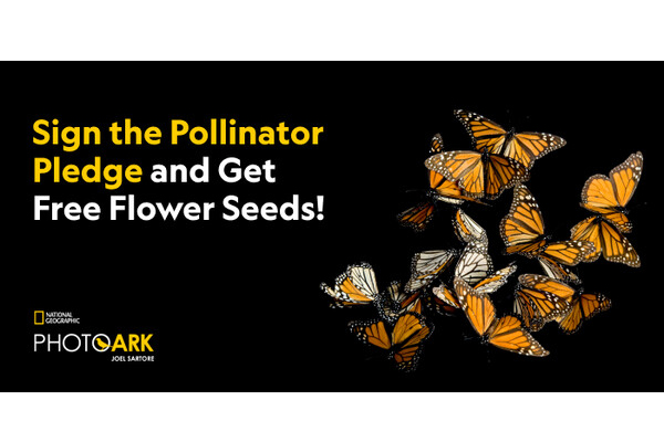 Free National Geographic Seeds