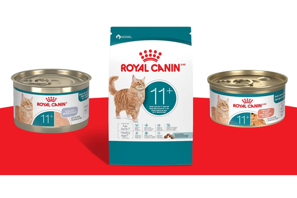 Free Royal Canin Aging 11+ Cat Food