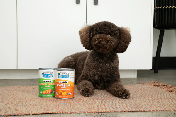 Free Nummy Tum-Tum Pet Food