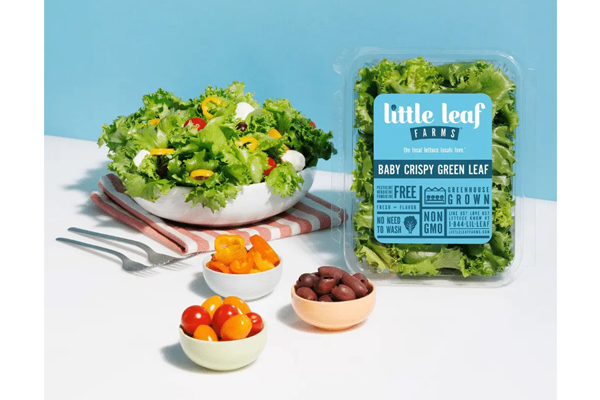 Win 1 of 200 Little Leaf Farms Lettuce